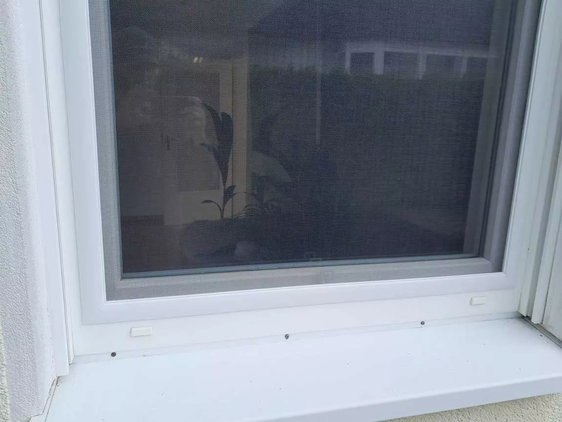 Tischlerei Cetraro | Kürten | Bergisch Gladbach | Insektenschutz & Sonnenschutz Tischlerei Cetraro | Kürten | Bergisch Gladbach | Insektenschutz & Sonnenschutz